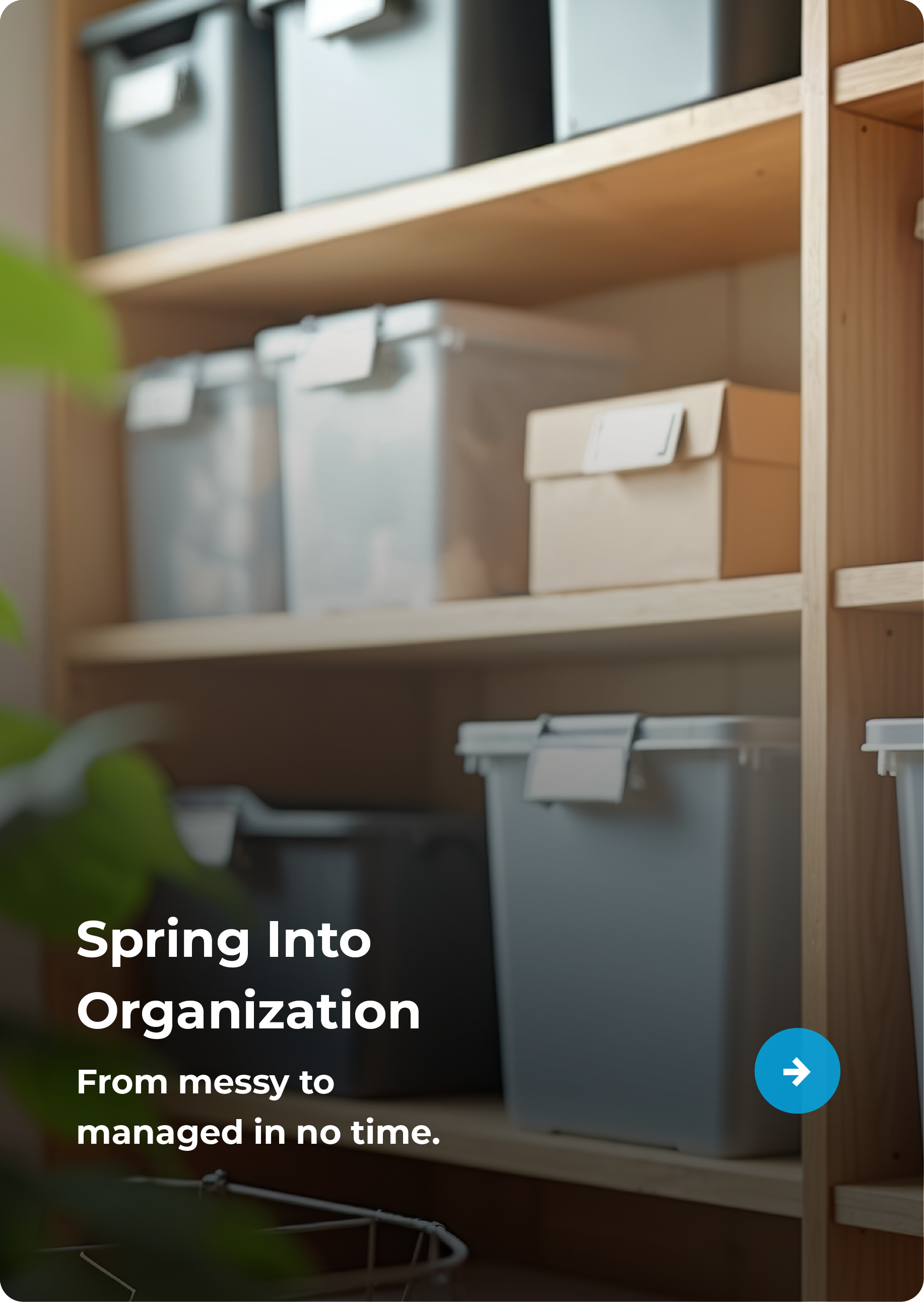 Spring Into Organization